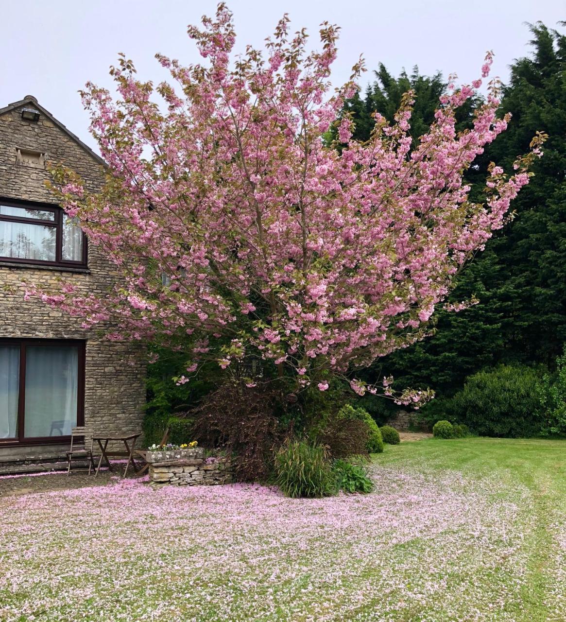 Best Western Compass Inn Tormarton Bagian luar foto